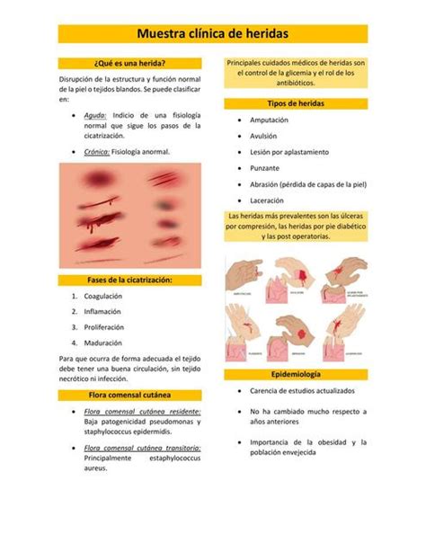 Muestra Clínica De Heridas Rodrigo Cárcamo Udocz