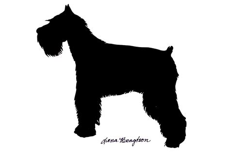 Schnauzer Silhouette Raza Schnauzer Schnauzer Art Miniature Schnauzer