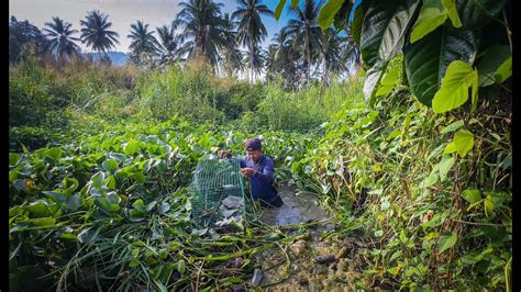 6 Hari Berburu Dipantai Sawah Rawa Pasang Prangkap Ikan Berburu Buah