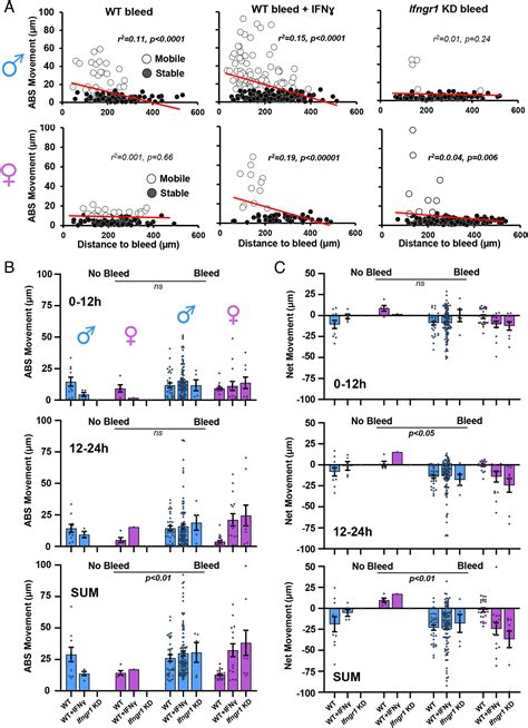 Sex And Interferon Gamma Signaling Regulate Microglia Migration In The Adult Mouse Cortex In