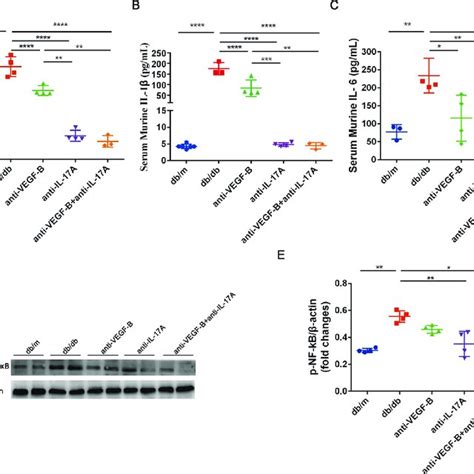 Pharmacological Neutralization Of Vegf B And Il A Reduced The Renal