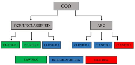 Prognostic categories of diffuse large B-cell lymphoma (DLBCL) based on ...