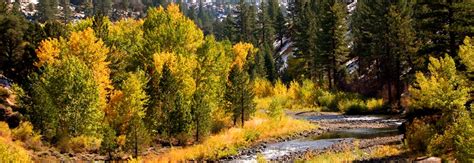 Ebbetts Pass Scenic Byway Sierra Nevada Scenic Route Arnold To