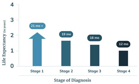 Cancer Life Expectancy Chart A Visual Reference Of Charts Chart Master