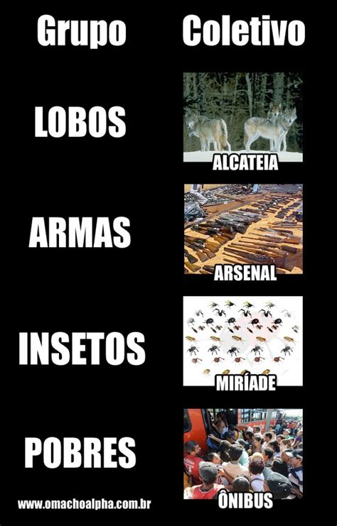 Qual Coletivo De Lobos - QUAL O COLETIVO DE LOBOS? | Vadiagem Diária