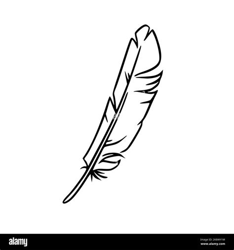 Feather sketch. Feather for decoration or writing. Vector illustration ...