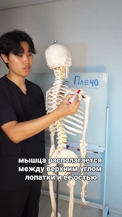 Болит плечо, не поднимается рука, не заводится за спину #больвплече ...