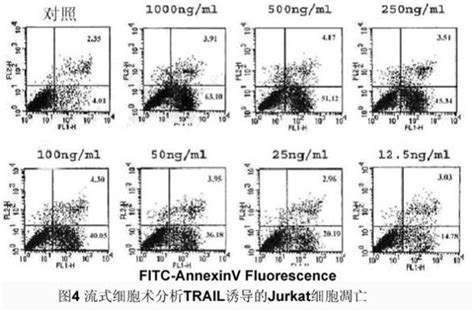 流式细胞术：细胞凋亡实验详解 联科生物