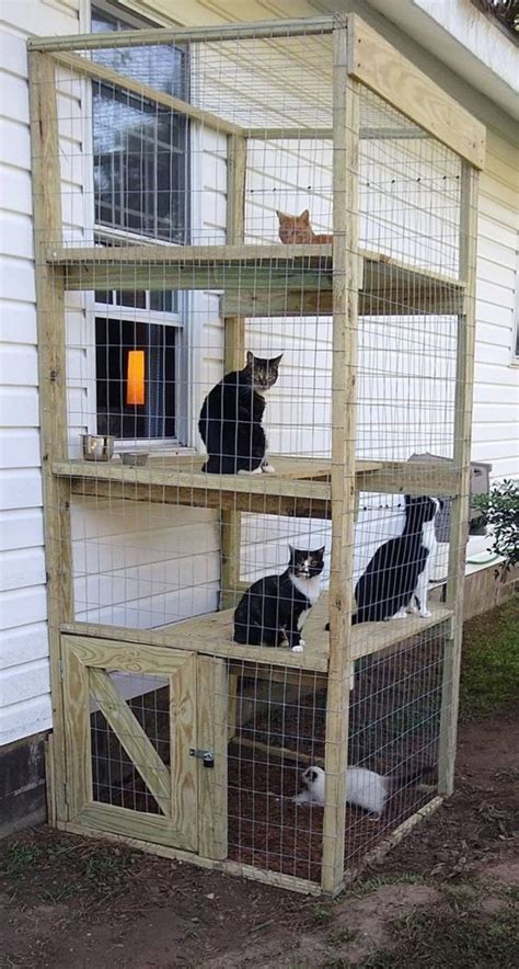 30 Diy Catio Ideas That Are Totally Pawsome In 2022 Cat Enclosure