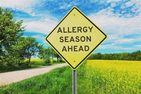 Ways To Defeat Seasonal Allergies Treadwell Houston