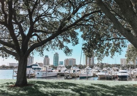 14 Best Neighborhoods To Live In Tampa Bay UNATION