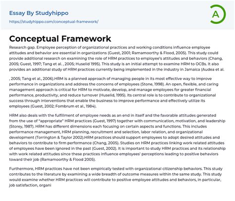 Conceptual Framework Essay Example