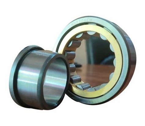 Nu Stainless Steel Round Single Row Cylindrical Roller Bearing Set