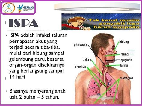 mengenal ispa   penyebabnya info seputar kesehatan