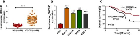 Circ 0000745 Was Upregulated In OSCC Tissues And Cells A The