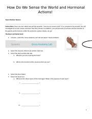 Week Atlas Nervous Ear Tongue Endocrine Docx How Do We Sense The