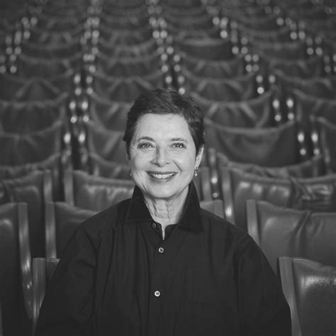 Isabella Rossellini Artyard