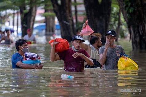 Getaran Refleksi Awas Leptospirosis Kenali Penyakit Kencing Tikus