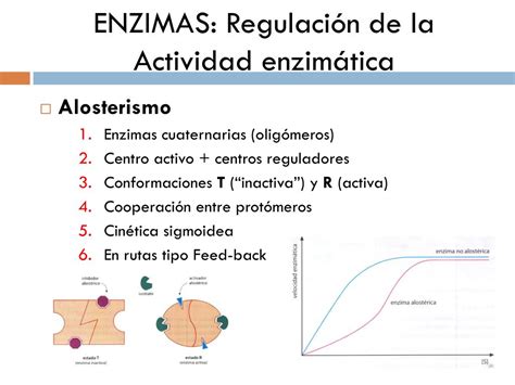 PPT TEMA 5 BIOCATALIZADORES ENZIMAS PowerPoint Presentation Free