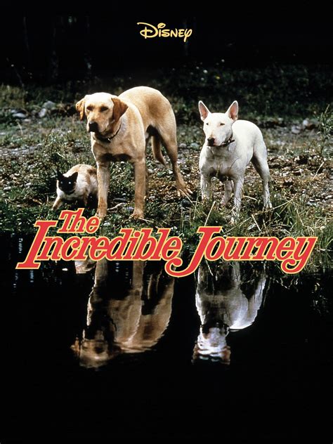 Prime Video: The Incredible Journey (1963)