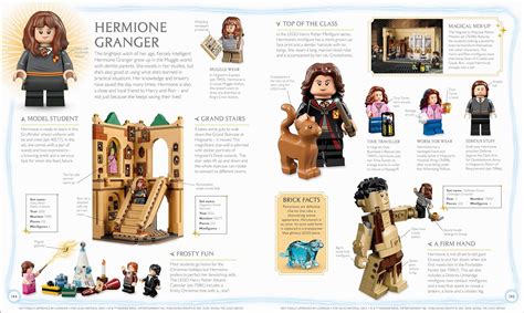 To Be Released In 2024 LEGO Harry Potter Visual Dictionary With An