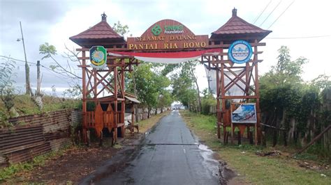 Foto Eksotisme Konservasi Tukik Penyu Di Banyuwangi Wisatawan Wajib