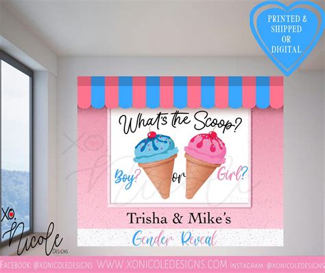 Whats The Scoop Backdrop Gender Reveal Backdrop Ice Creme Theme Photo