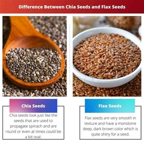 Chia Seeds Vs Flax Seeds Difference And Comparison