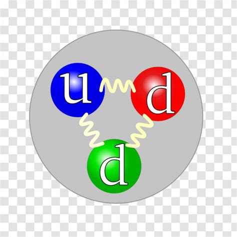 Up Quark Proton Strong Interaction Gluon Down Physics Transparent Png