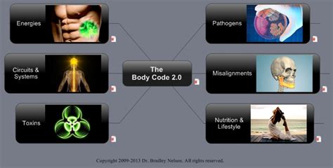 The Body Code Subtle Energy Techniques