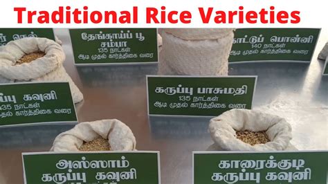 Traditional Rice Varieties In Tamil Nadu Traditional Rice