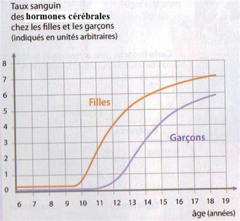 Devoir Maison La Puberté Et Les Hormones Correction 4ème Svt