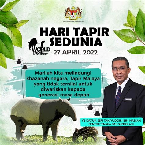 Tapir Malaya Akan Terus Dilindungi Kosmo Digital