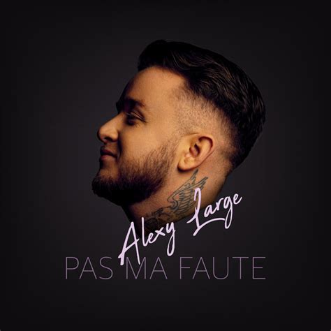 Pas Ma Faute Song And Lyrics By Alexy Large Spotify