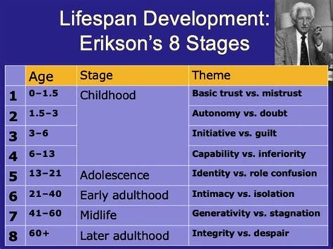 Psy Ch Human Development Flashcards Quizlet