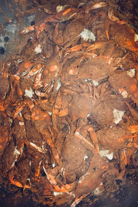 Blue Crab House - Home - Street, Maryland - Menu, Prices, Restaurant