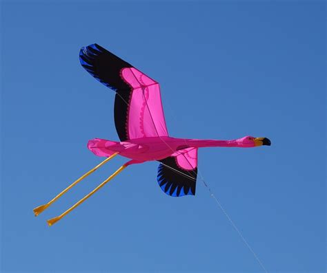 Pink Floyd Flamingo Flying Beautiful Kite Designed By Joel Scholz Sky