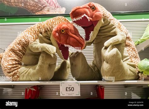 England London South Kensington Natural History Museum Souvenir Shop Display Of