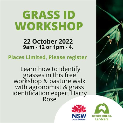 Grass Identification Workshop And Pasture Walk 22nd October Milbrodale — Nsw Landcare Gateway