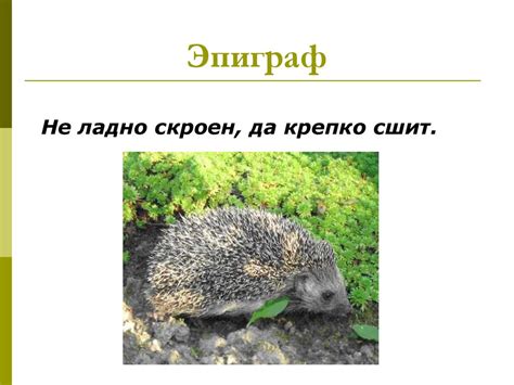 Герои стихотворных и прозаических произведений о животных В.В. Бианки ...