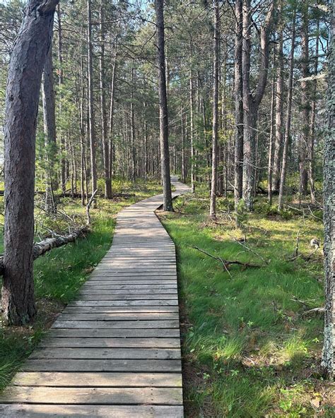 The Harriet Brasserie | Minneapolis MN