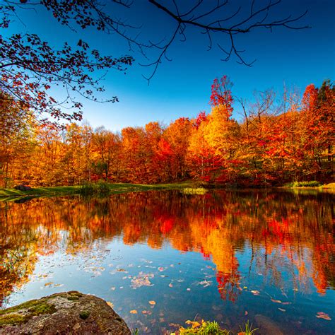 Nina Dobrev Shared Cryptic TikTok Before Shaun White Breakup News - Parade