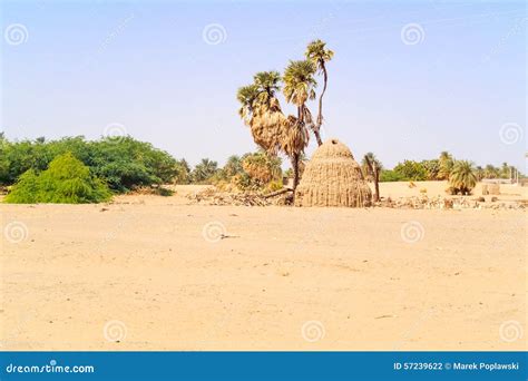 Rural landscape in Sudan stock photo. Image of travel - 57239622