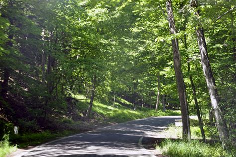 The two RV Gypsies took a road trip through the Tunnel of Trees