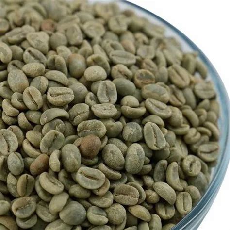 Green Arabica Coffee Beans For Home Grade Premium At Rs 450 Kg In