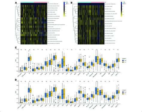 gsva analysis  immune feature    high risk groups