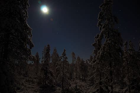 Finnish Lapland in Winter – Gerald Zojer's Blog