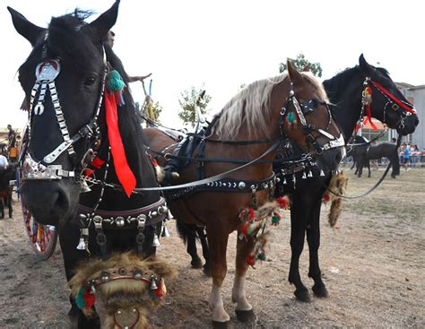 Donna Scopa Con Un Cavallo Telegraph