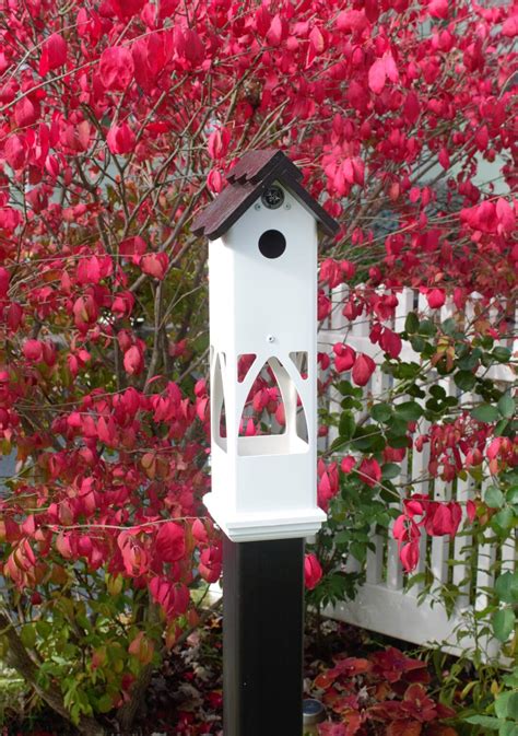 Bird Lovers Delight, 4 Inch PVC Post Mount Bird House and Feeder