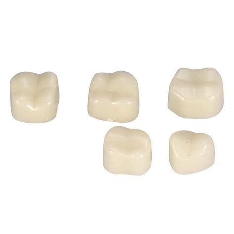 Temporary Dental Crown Pieces Box Teeth Temporary Teeth Realistic